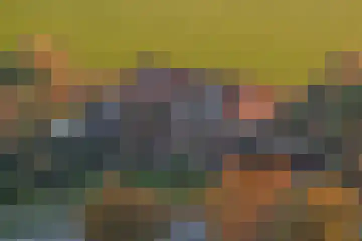 Hartweg 8 Nieuwe Niedorp thumbnail 5