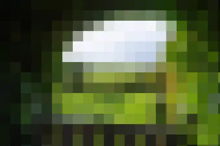 Hartweg 8 Nieuwe Niedorp thumbnail 50