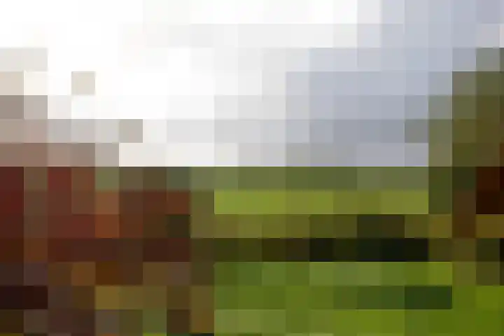 Hartweg 8 Nieuwe Niedorp thumbnail 51