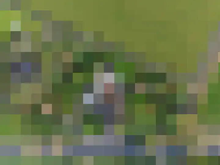 Hartweg 8 Nieuwe Niedorp thumbnail 53