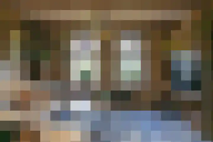 Hartweg 8 Nieuwe Niedorp thumbnail 7