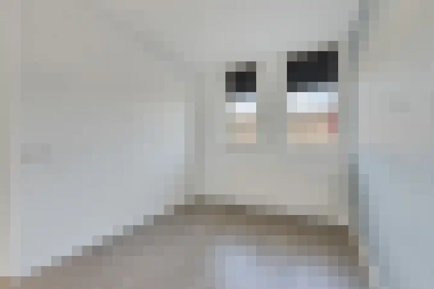 Haruku 28 Barneveld thumbnail 21