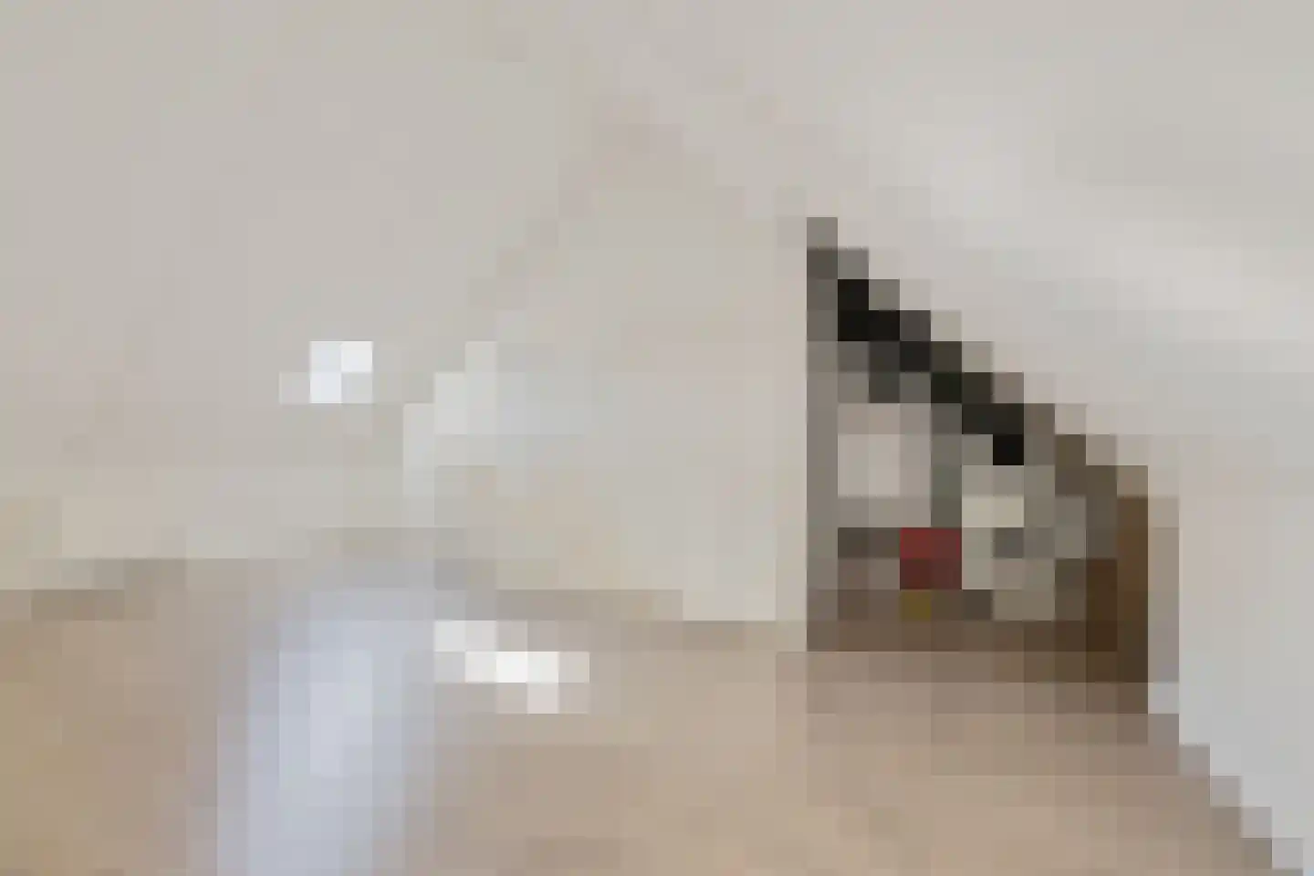 Haruku 28 Barneveld thumbnail 31