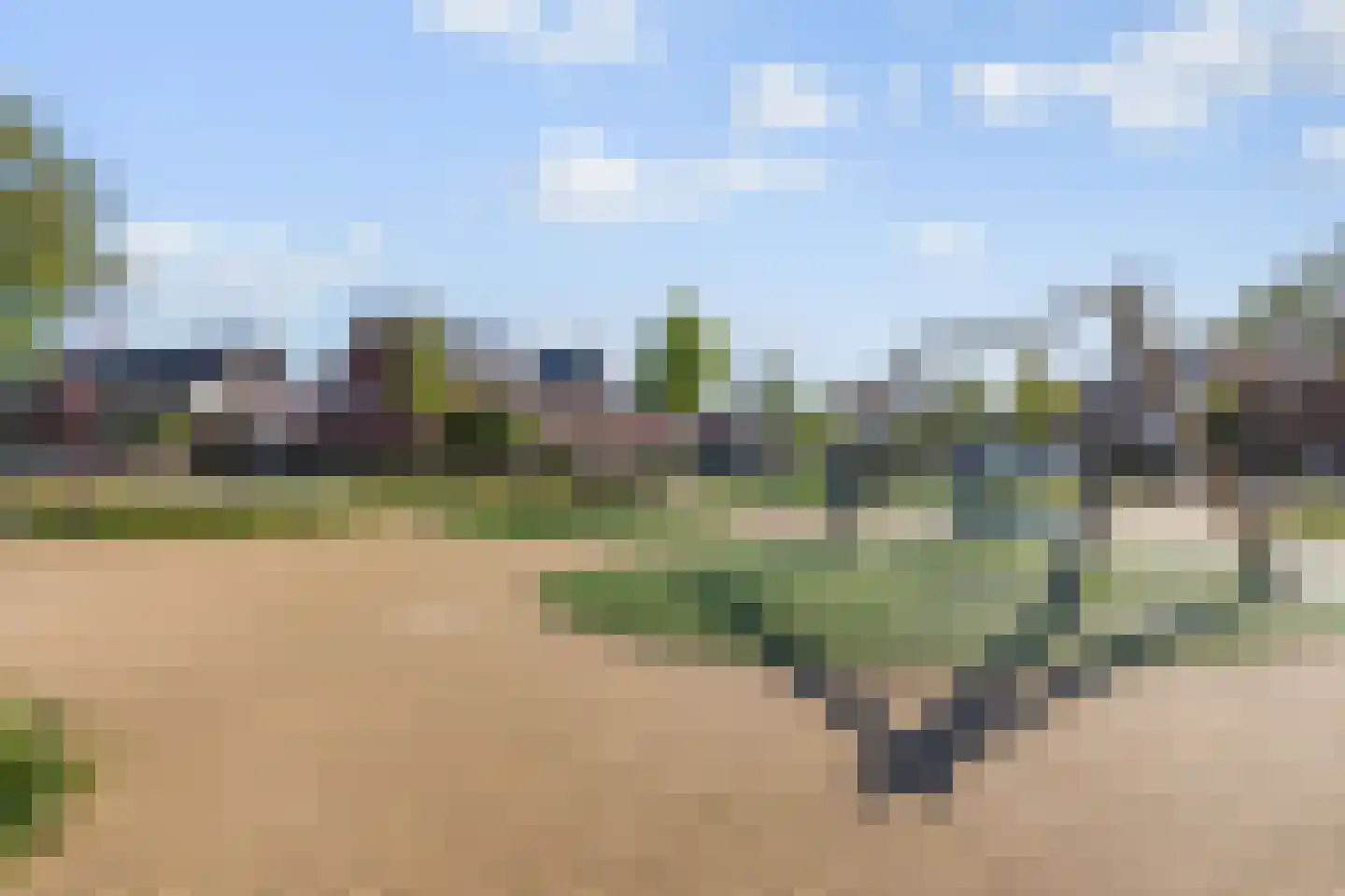Haruku 28 Barneveld thumbnail 39