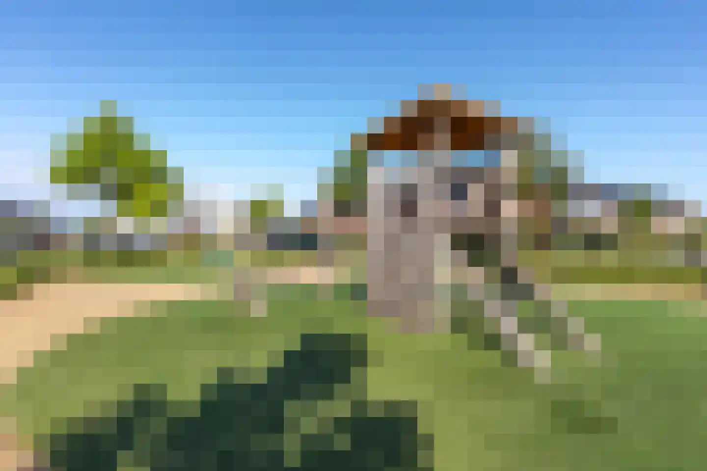 Haruku 28 Barneveld thumbnail 41