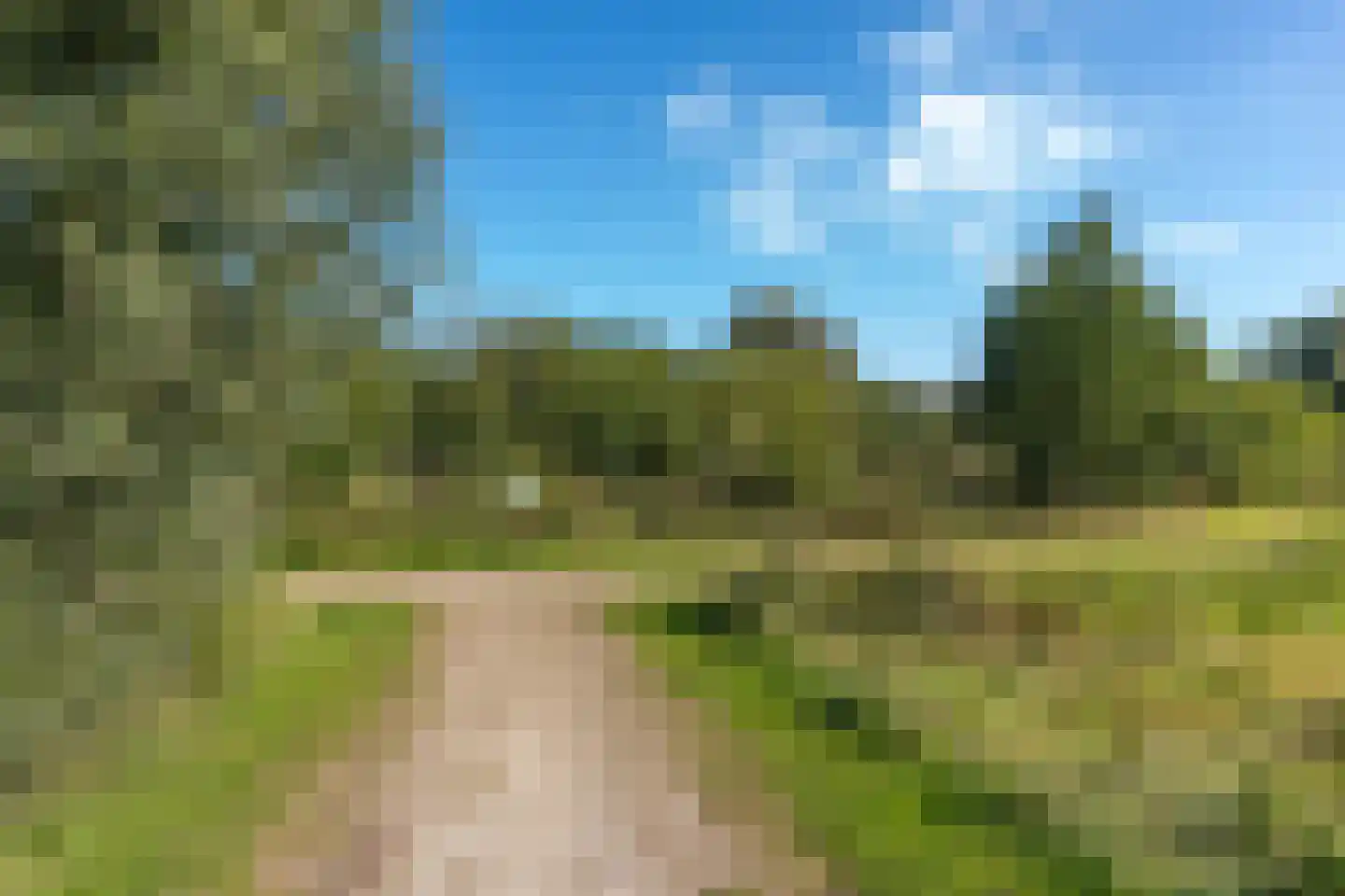 Haruku 28 Barneveld thumbnail 43