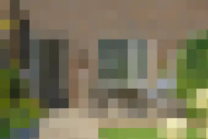 Haruku 34 Barneveld thumbnail 15