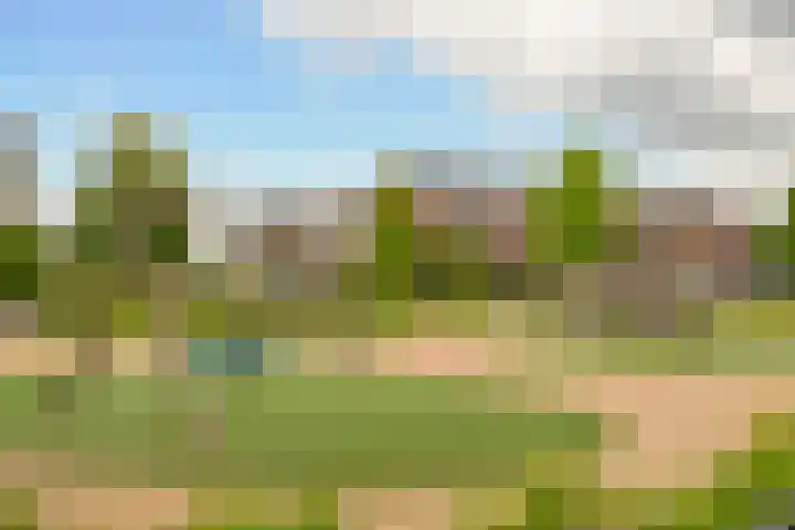 Haruku 34 Barneveld thumbnail 16