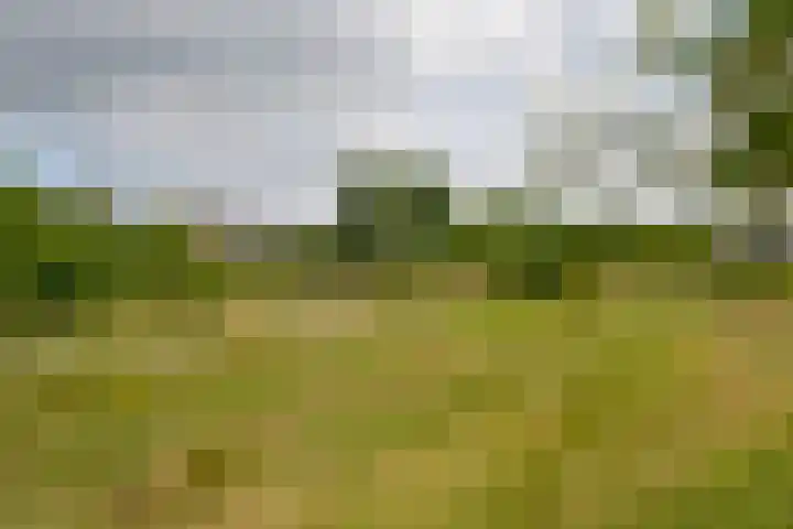 Haruku 34 Barneveld thumbnail 18