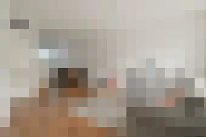Haruku 34 Barneveld thumbnail 6