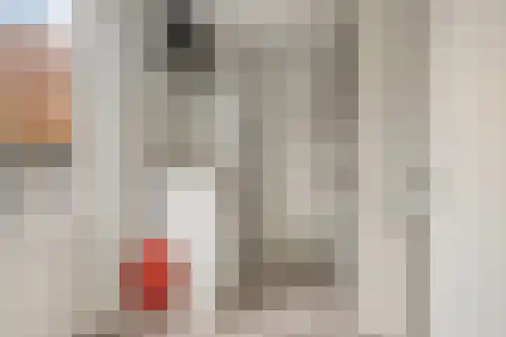 Haruku 38 Barneveld thumbnail 16
