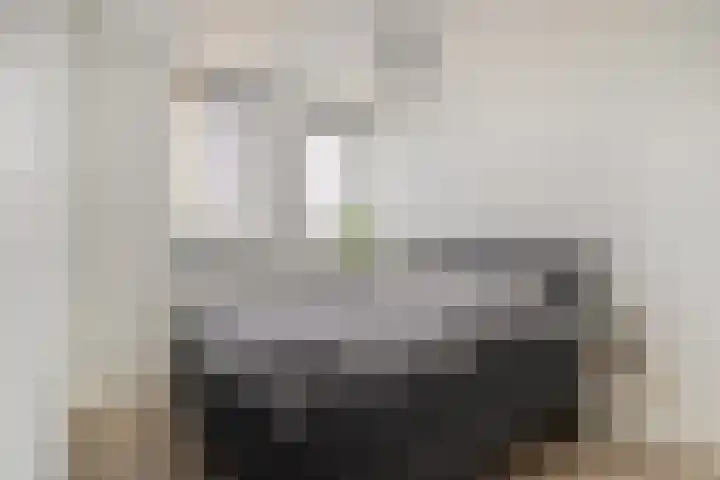 Haruku 38 Barneveld thumbnail 22