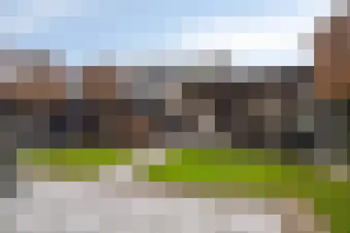 Haruku 38 Barneveld thumbnail 33