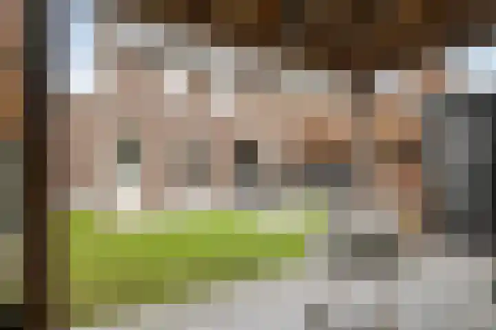 Haruku 38 Barneveld thumbnail 36