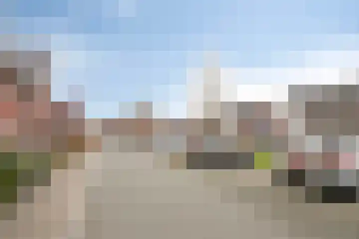 Haruku 38 Barneveld thumbnail 39
