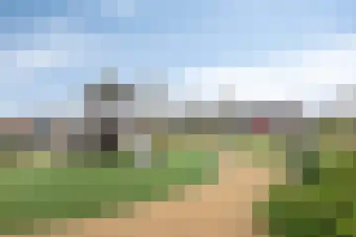 Haruku 38 Barneveld thumbnail 41