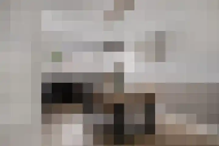 Haruku 38 Barneveld thumbnail 6