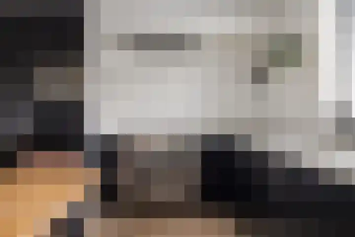 Haruku 38 Barneveld thumbnail 7