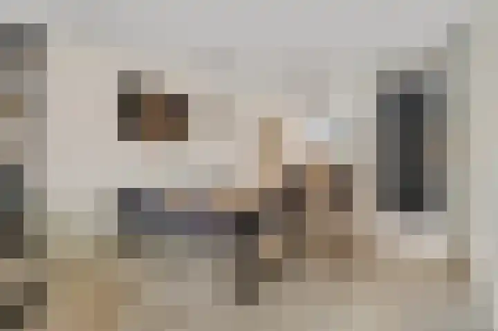 Haruku 5 Barneveld thumbnail 12
