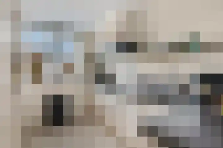 Haruku 5 Barneveld thumbnail 13