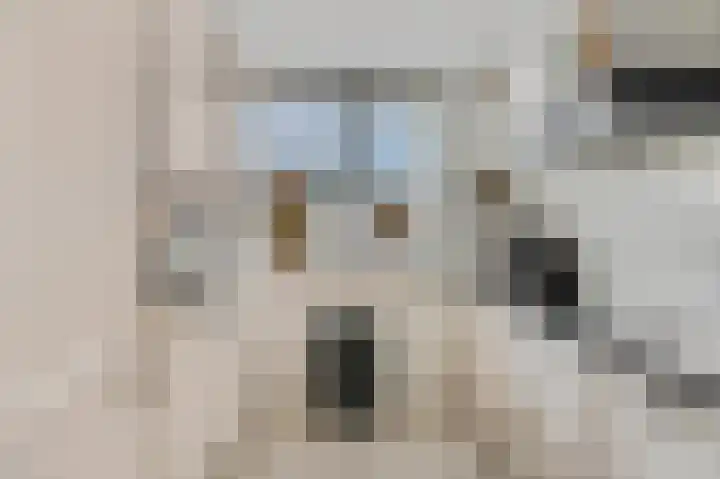 Haruku 5 Barneveld thumbnail 14