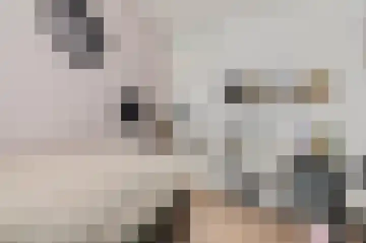Haruku 5 Barneveld thumbnail 22