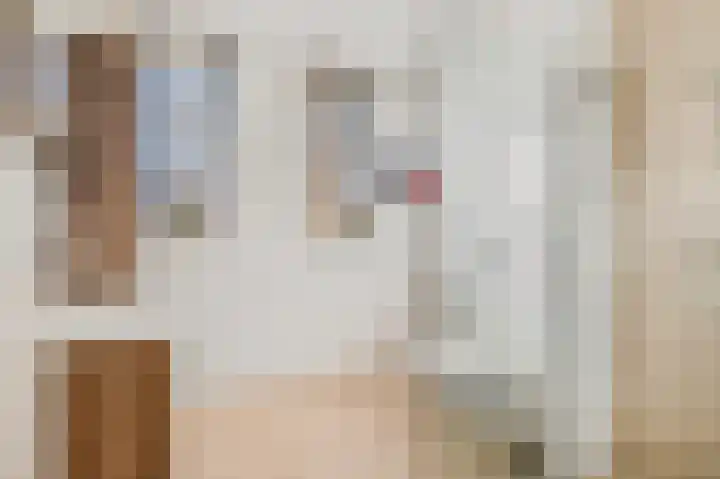 Haruku 5 Barneveld thumbnail 26