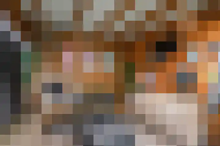 Haruku 5 Barneveld thumbnail 35