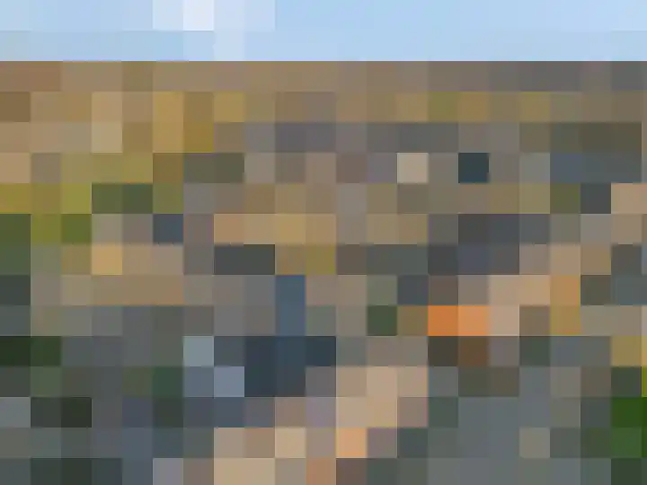 Haruku 5 Barneveld thumbnail 37