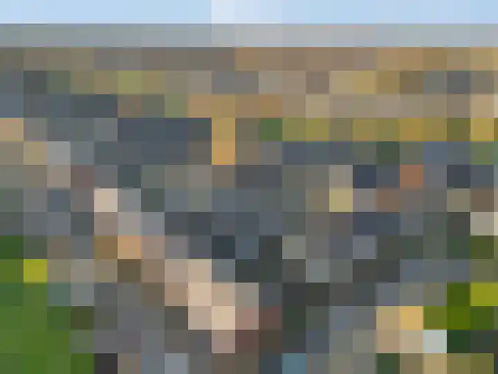 Haruku 5 Barneveld thumbnail 38