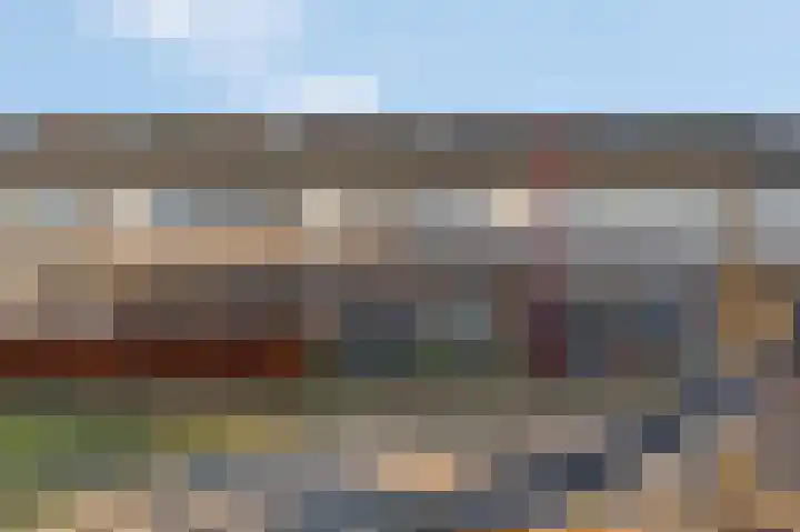 Haruku 5 Barneveld thumbnail 6