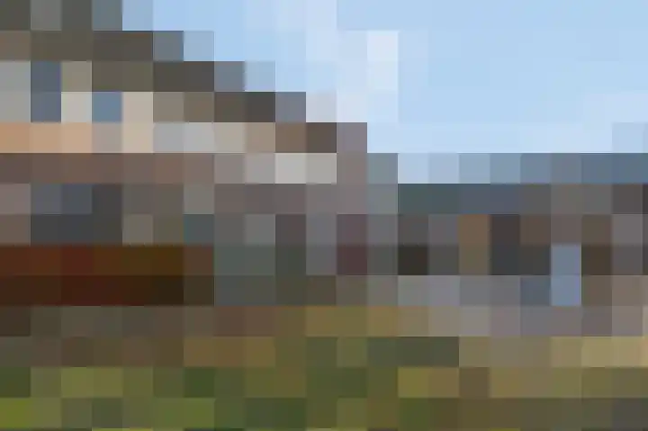 Haruku 5 Barneveld thumbnail 7