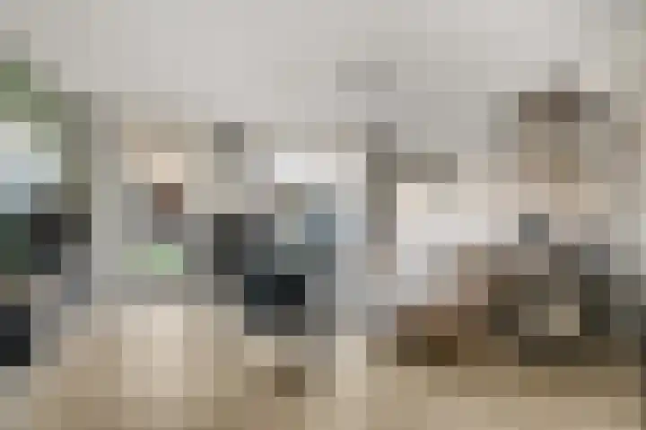 Haruku 5 Barneveld thumbnail 9