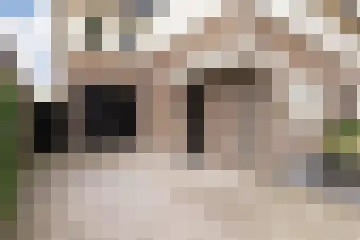 Haruku 9 Barneveld thumbnail 10