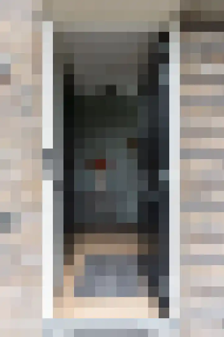 Haruku 9 Barneveld thumbnail 11