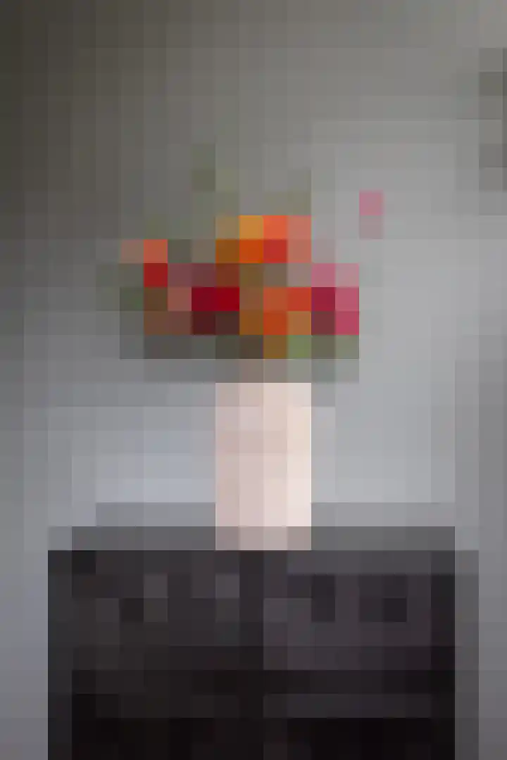 Haruku 9 Barneveld thumbnail 13