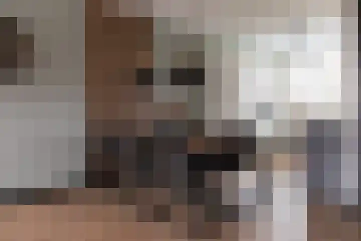 Haruku 9 Barneveld thumbnail 21
