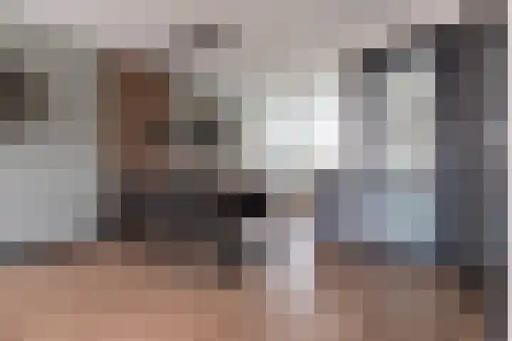 Haruku 9 Barneveld thumbnail 22