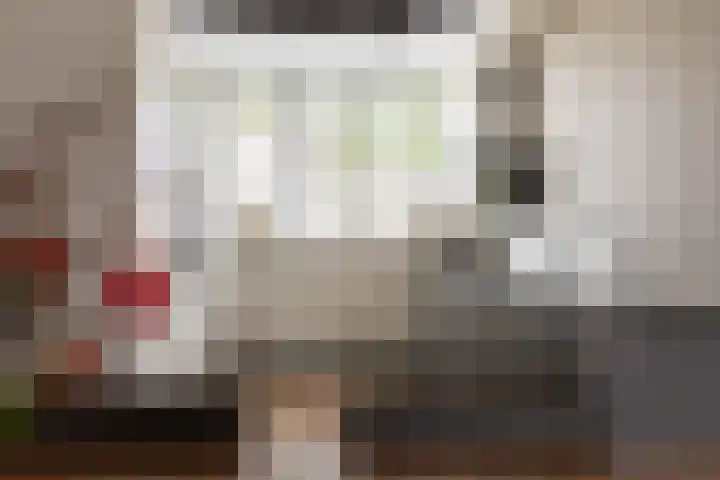 Haruku 9 Barneveld thumbnail 23