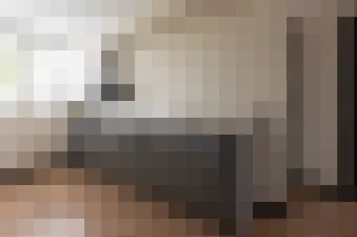Haruku 9 Barneveld thumbnail 24