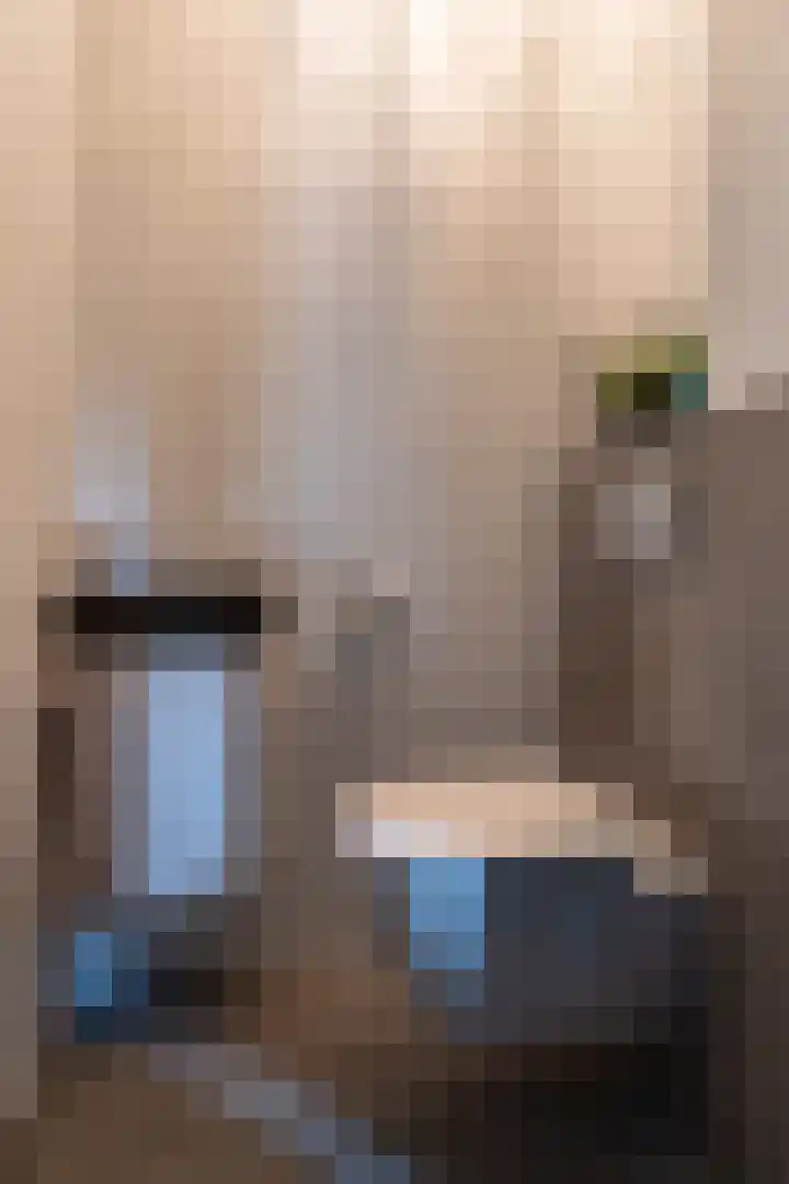 Haruku 9 Barneveld thumbnail 27