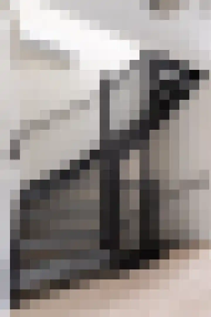 Haruku 9 Barneveld thumbnail 28