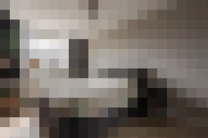 Haruku 9 Barneveld thumbnail 29
