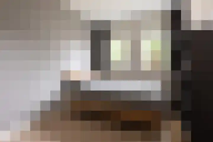 Haruku 9 Barneveld thumbnail 31