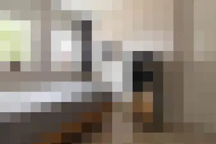 Haruku 9 Barneveld thumbnail 32