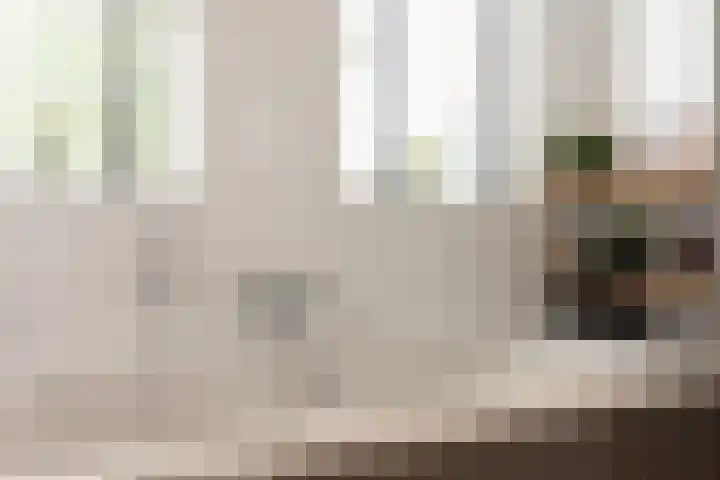 Haruku 9 Barneveld thumbnail 36