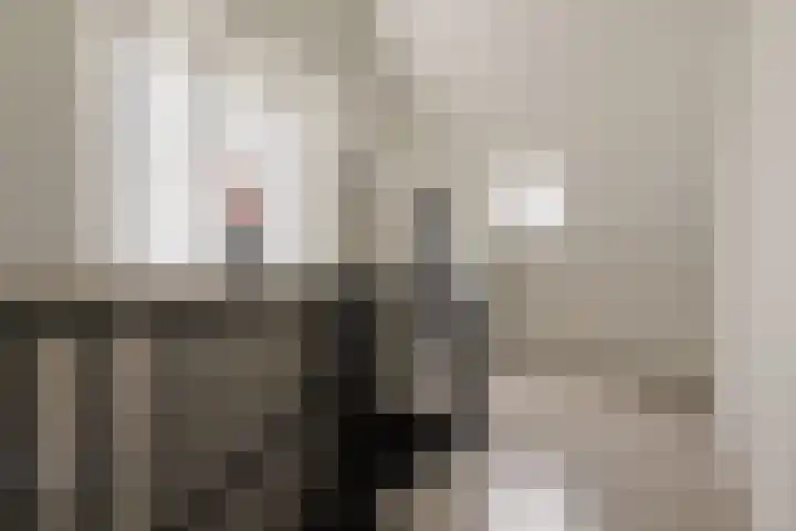 Haruku 9 Barneveld thumbnail 38