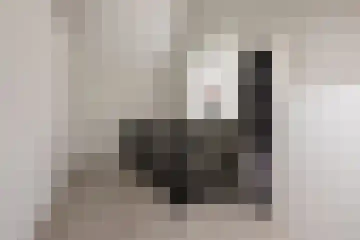 Haruku 9 Barneveld thumbnail 39