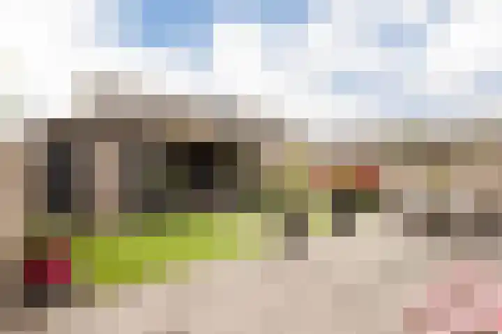 Haruku 9 Barneveld thumbnail 4
