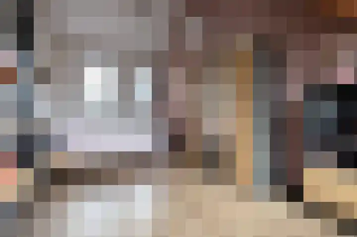 Haruku 9 Barneveld thumbnail 40
